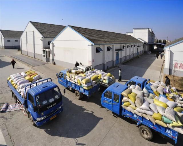 迎接第39個世界糧食日,市糧食收儲中心這樣做…