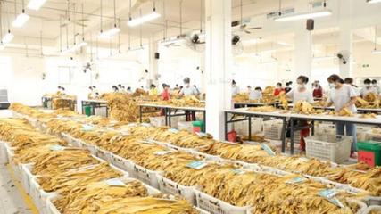 寧遠(yuǎn)縣:“三舉措”破除農(nóng)村集體經(jīng)濟(jì)發(fā)展瓶頸