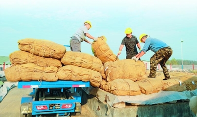 山東煙區(qū):收購規(guī)范有序 煙葉以質(zhì)取勝