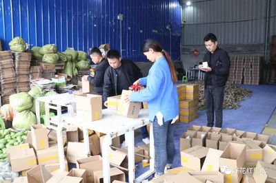 惠水:預熱“雙十一” 佛手瓜受青睞