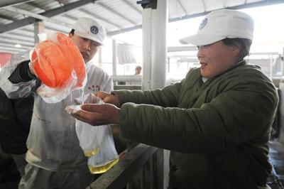 雙匯涉“瘦肉精”產品下架 工廠停產自查(組圖)